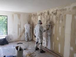 Best Emergency Mold Remediation  in Crab Orchard, WV